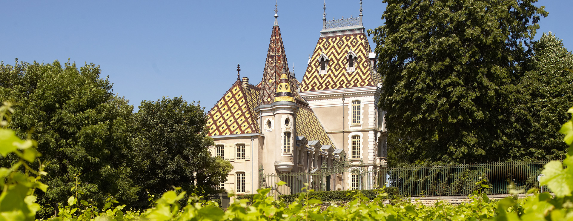 Burgund exklusiv– Côte de Nuits & Côte de Beaune