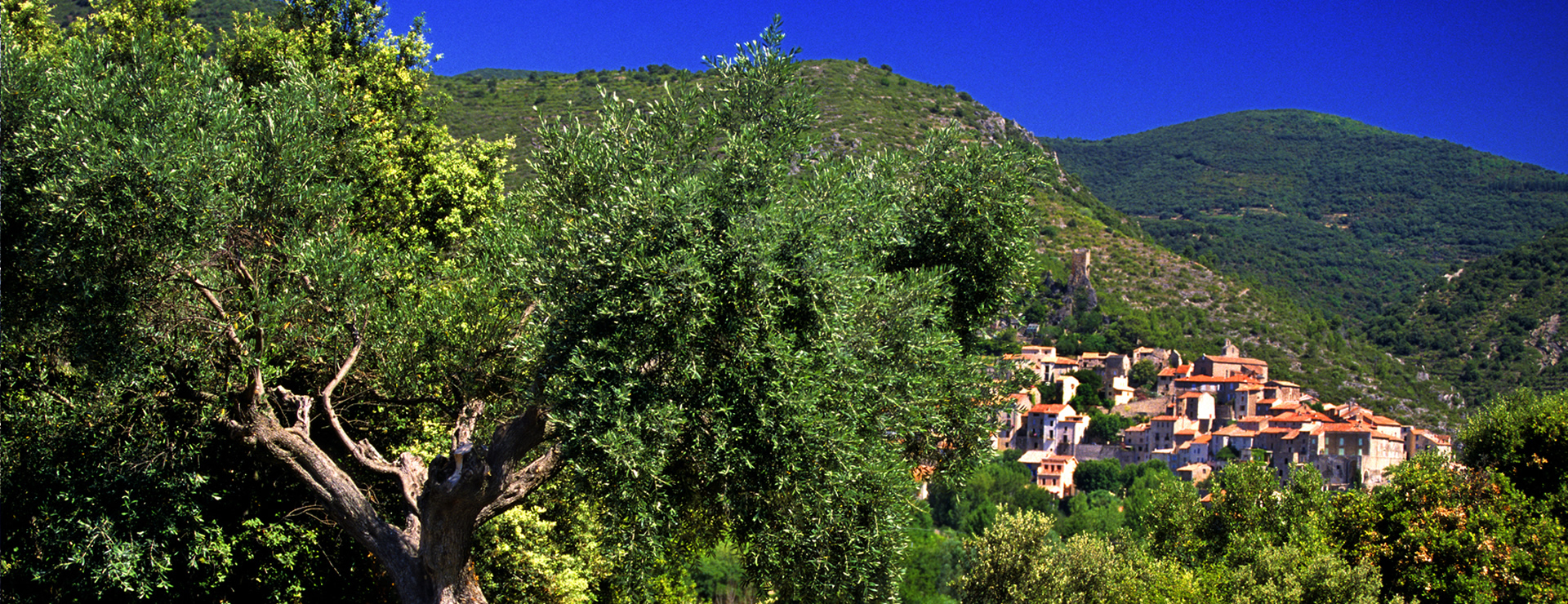 Languedoc-Roussilon