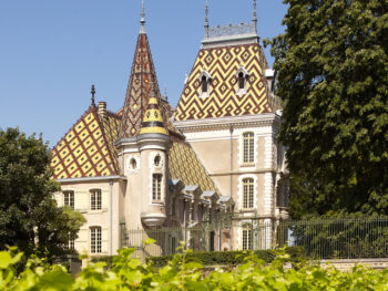 {{brizy_dc_image_alt entityId=