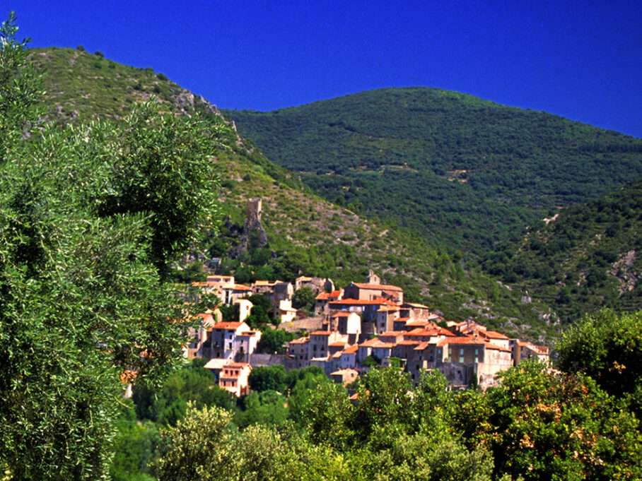 {{brizy_dc_image_alt entityId=