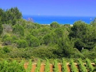 {{brizy_dc_image_alt entityId=