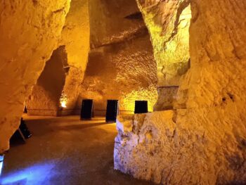 {{brizy_dc_image_alt entityId=