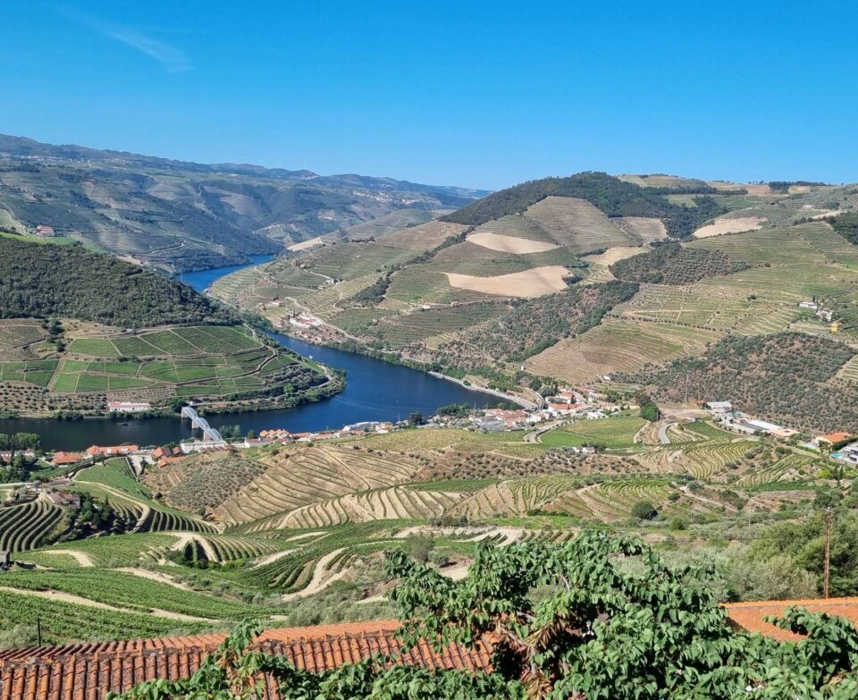 Douro Fluss mit terrasierten Weinbergen mit dem Blick vom oberen Talweg.