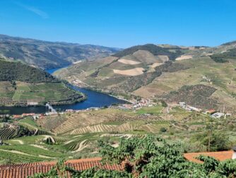 Douro Fluss mit terrasierten Weinbergen mit dem Blick vom oberen Talweg.