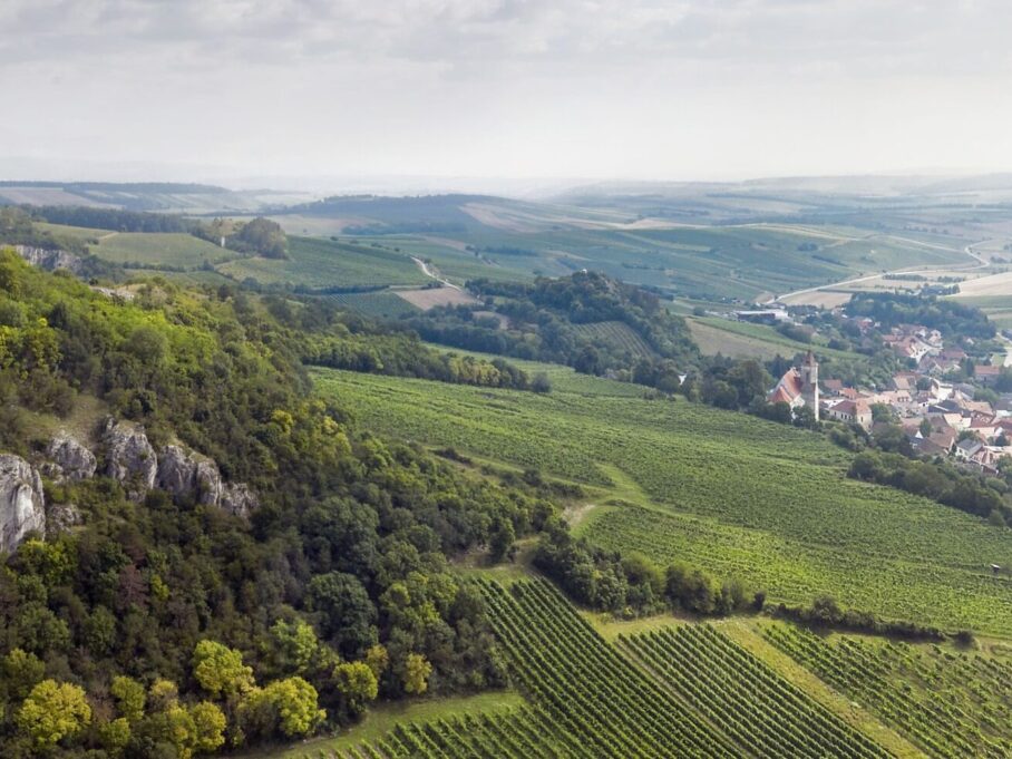 {{brizy_dc_image_alt entityId=