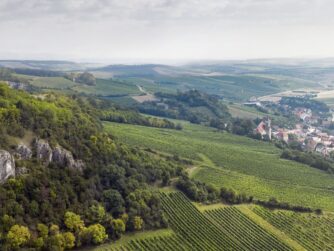 {{brizy_dc_image_alt entityId=